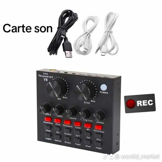 V8 pro microphone condensateur + carte de son pro