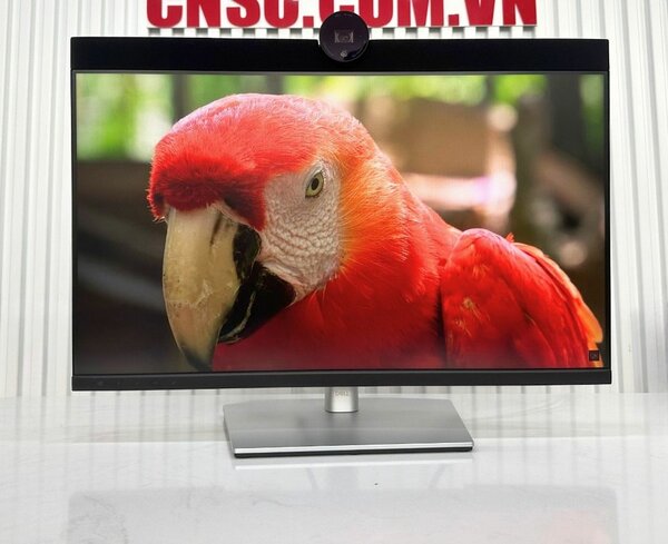 Écran Dell P2424heb