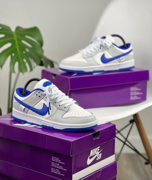 Nike SB sneakers