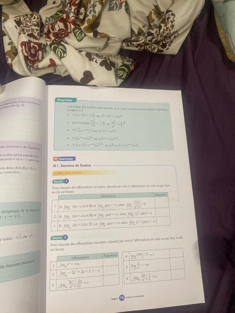 Mathématiques Terminale D