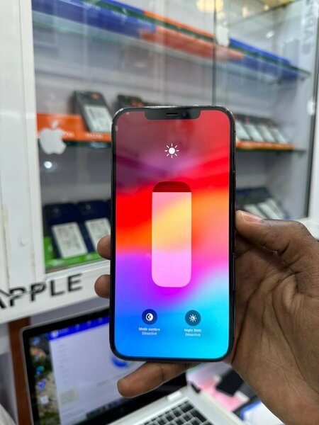 iPhone 12 Pro Max