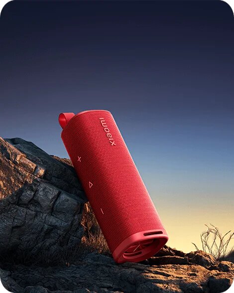Enceinte Bluetooth XIAOMI 30W