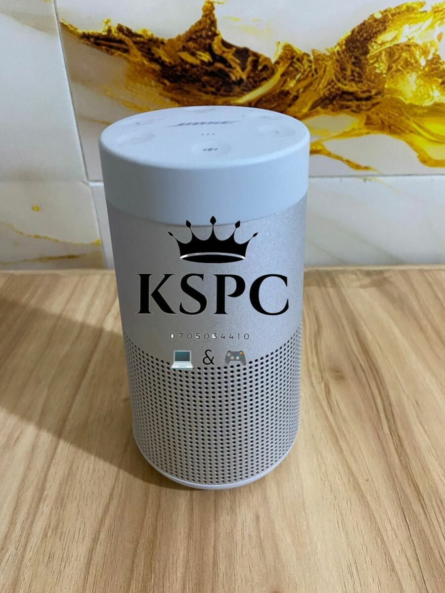 Enceinte Bluetooth Bose Portable