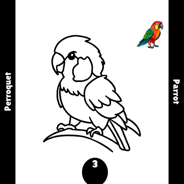 Livre de coloriage - Animaux