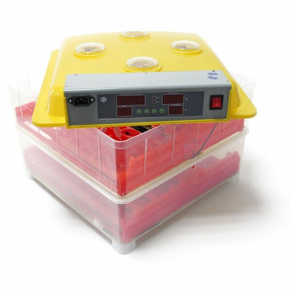 Incubateur 72  œufs automatiqu