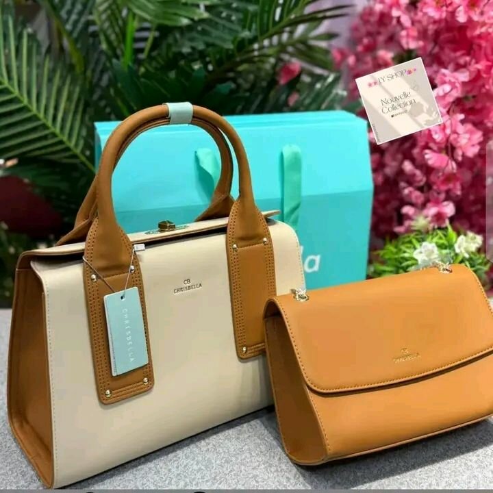 Ensemble Sacs à Main Élégants