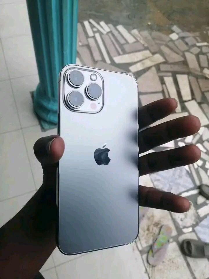 iPhone 13 Pro Max 256GB