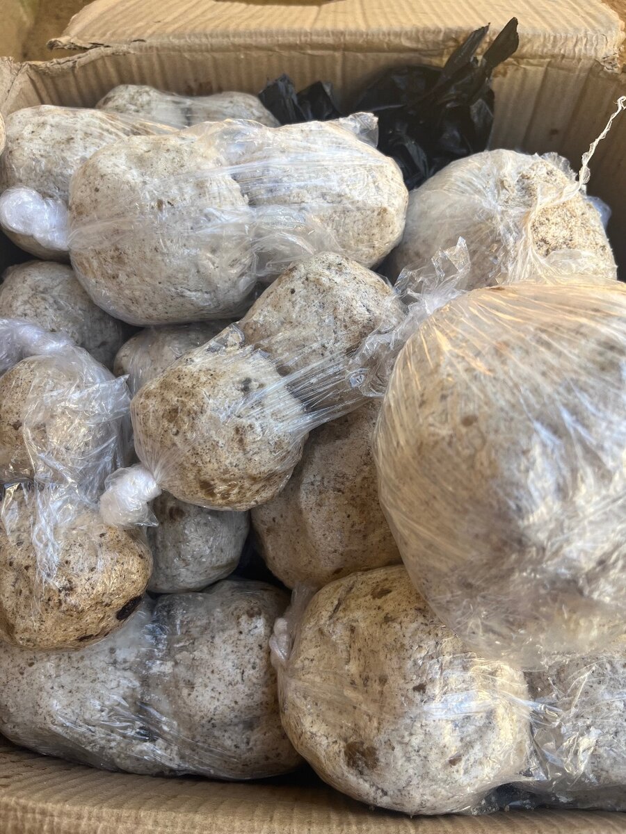 Savon noir du Nigeria et blanc