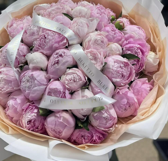 Пионы голландские