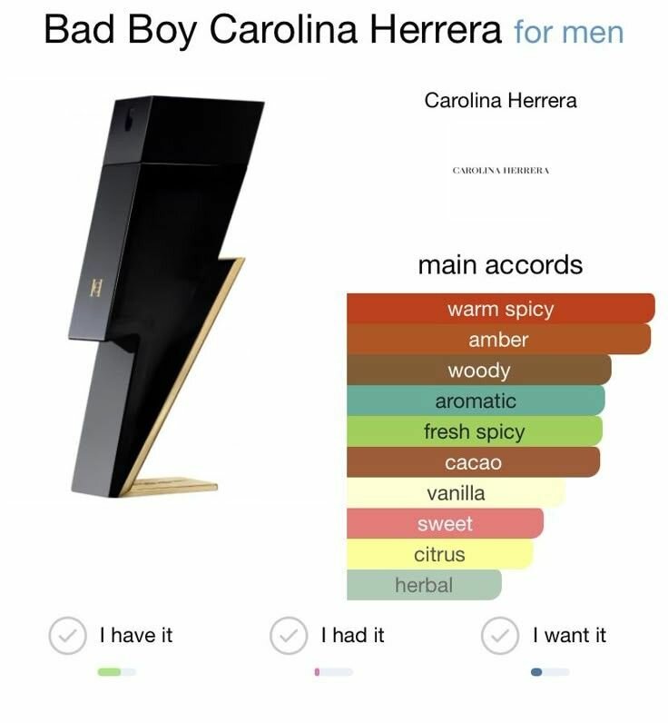 Bad Boy by Carolina Herrera 100ml EDP