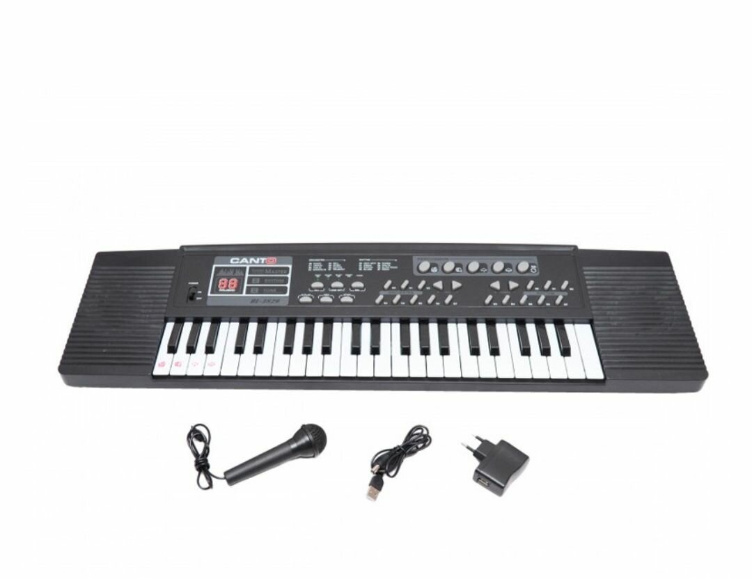 44 KEYS BATTERY POWERED PORTABLE ELECTRONIC KEYBOARD TOY