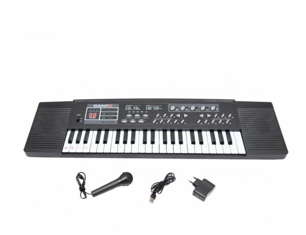 44 KEYS BATTERY POWERED PORTABLE ELECTRONIC KEYBOARD TOY