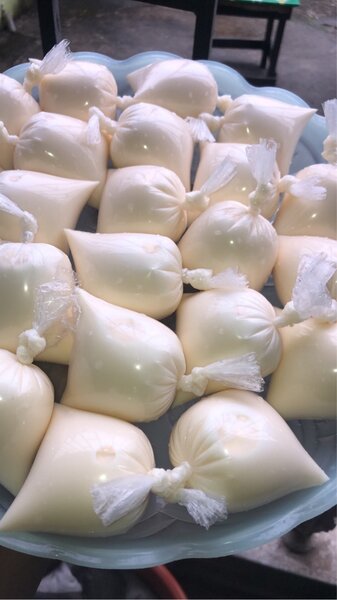 Pâtes crêpes yaourt