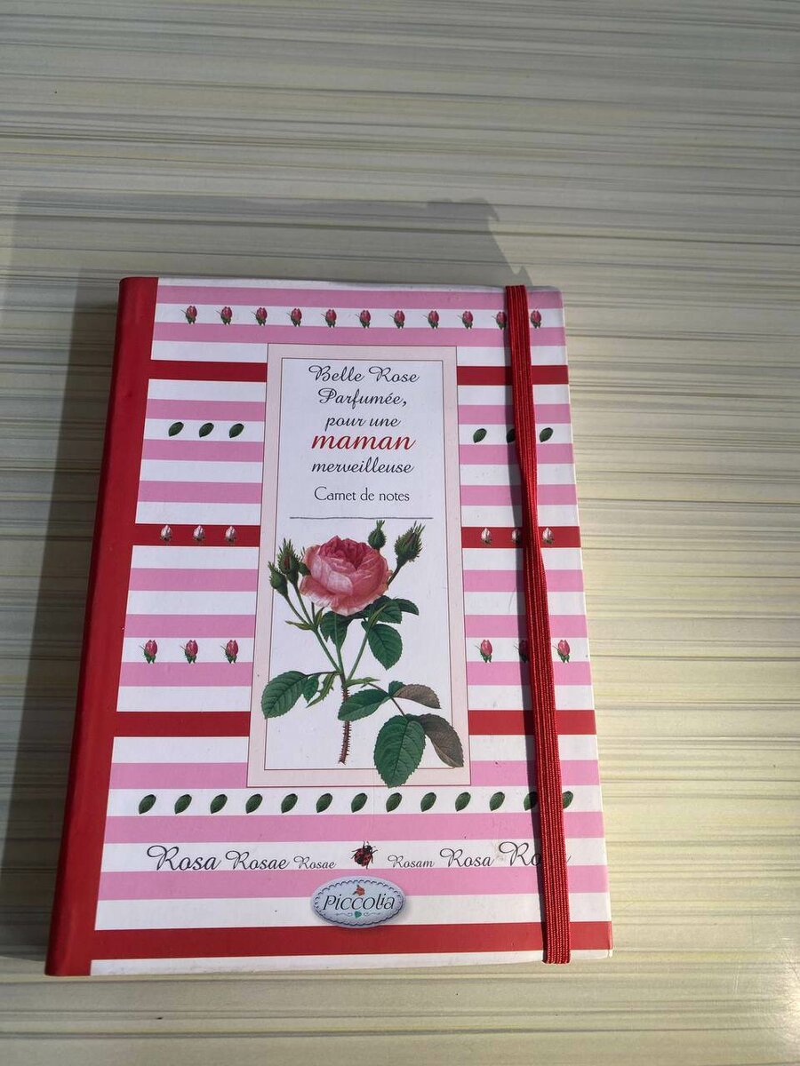 Carnet étoilé A6 élégant