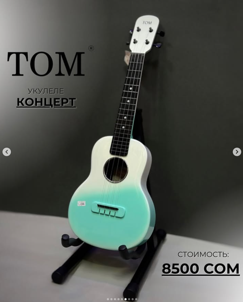 Укулеле  TOM концерт