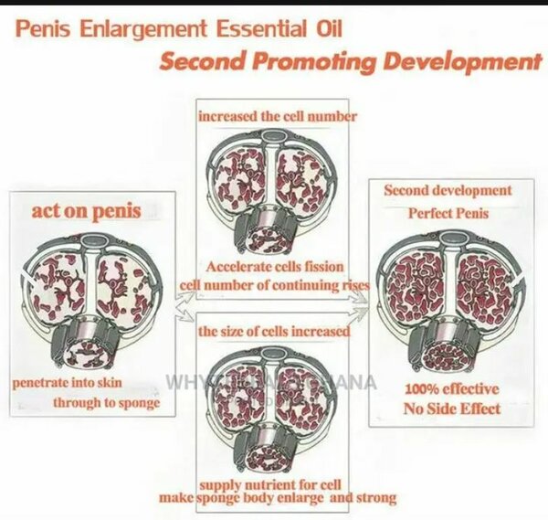 Mk2 100% Pure Natural Penis En