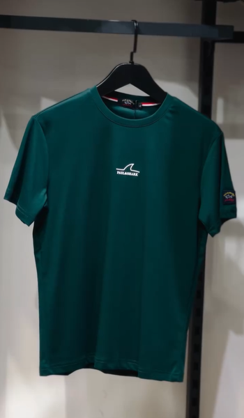 Стильная футболка Paul&Shark зеленая