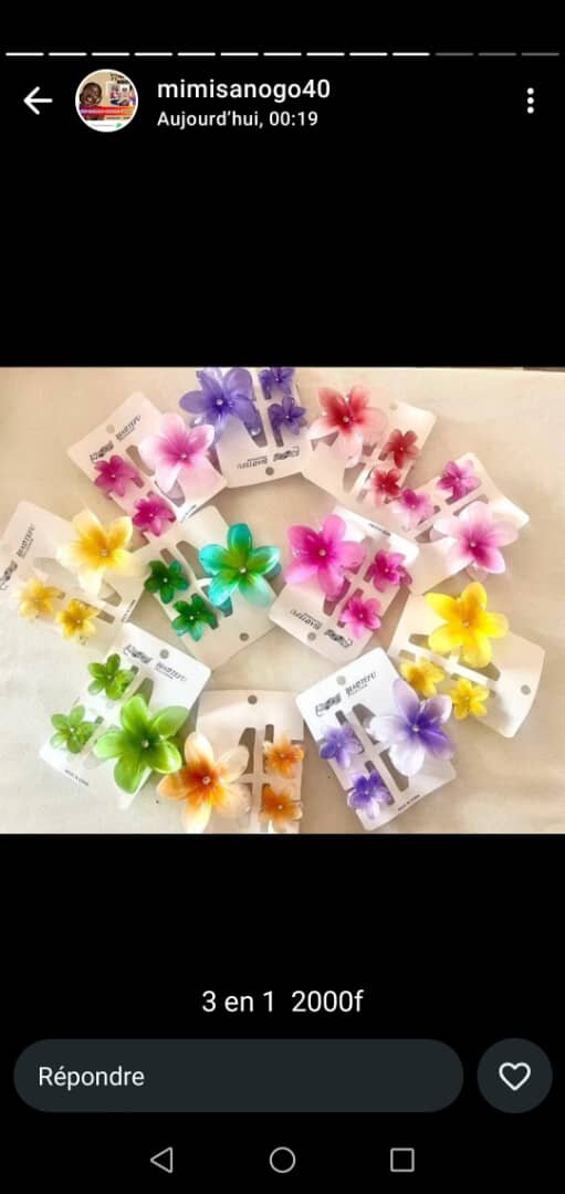 Clips fleuris colorés 3 en 1