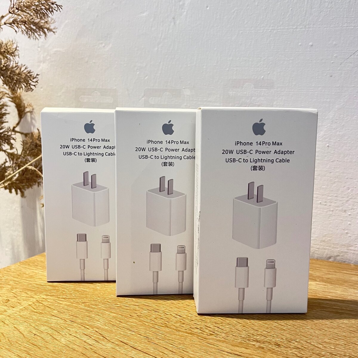 iPhone 8 to 14 Type-C charger