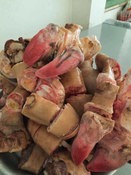 Pattes de bœuf frais