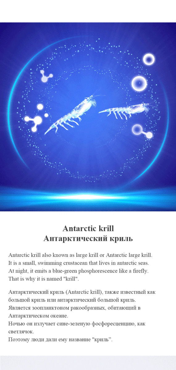 MOREFUTURE Antarctic Krill Oil Softgel