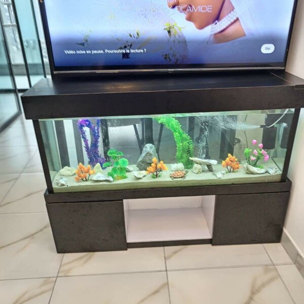 Meuble Aquarium Moderne Noir