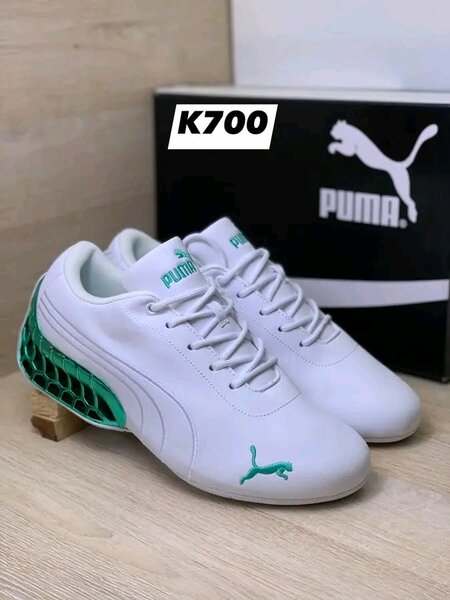 Puma sport