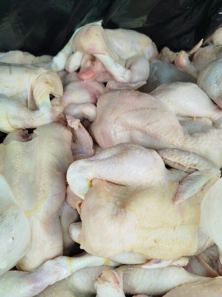 Poulet Fermier Frais