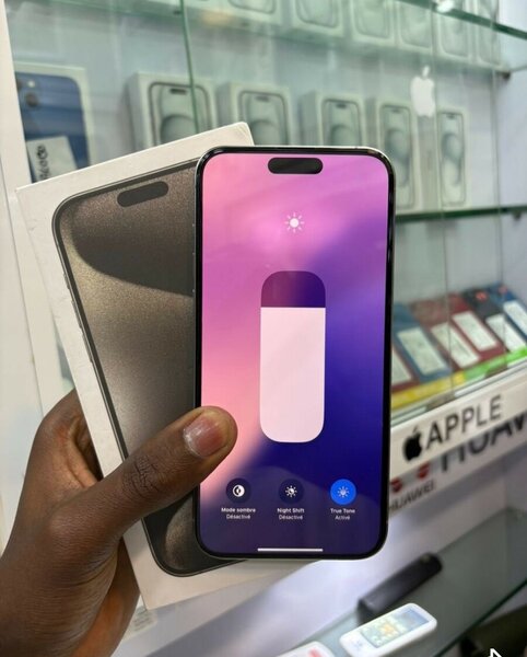 iPhone 15 Pro Max Argent