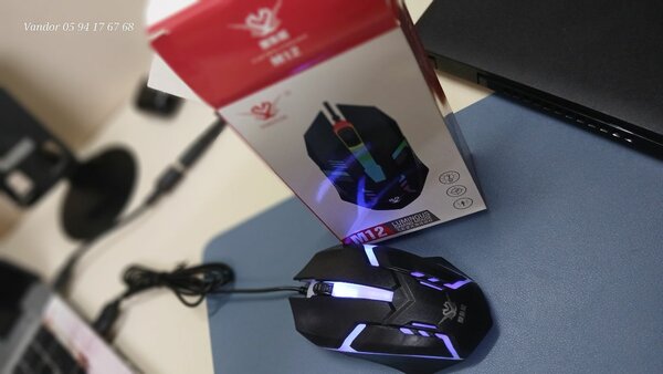 SOURIS GAMING POUR ORDINATEUR