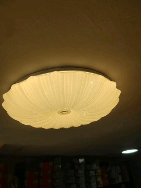 Elegant LED Ceiling Light