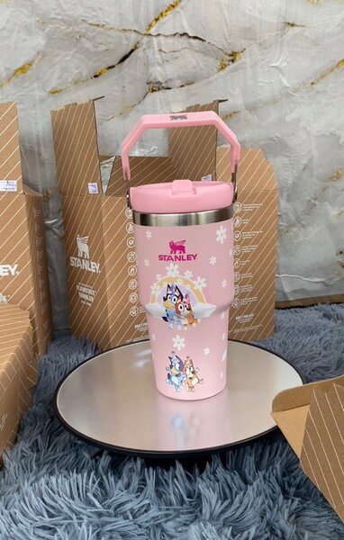 Bouteille Thermique Stanley Design