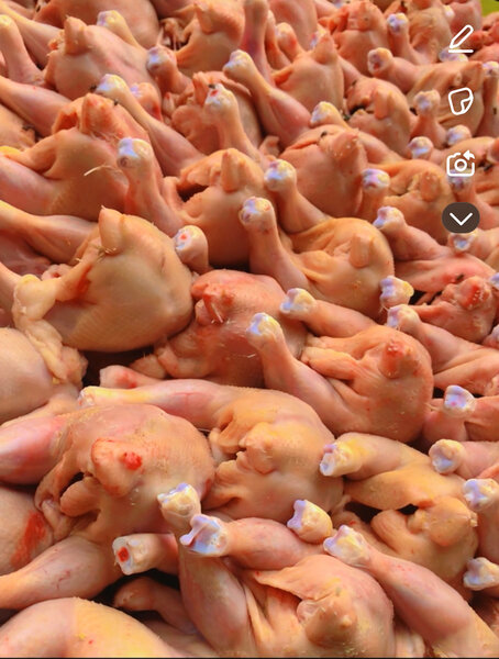 Le Délicieux poulet de tayson