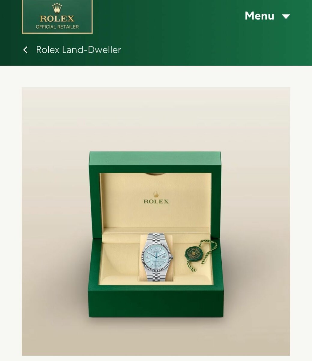 Montre de luxe en acier inoxydable