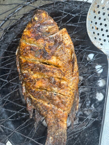 Plat de Poisson Grillé et Légumes