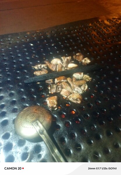 Gril de Barbecue Portable