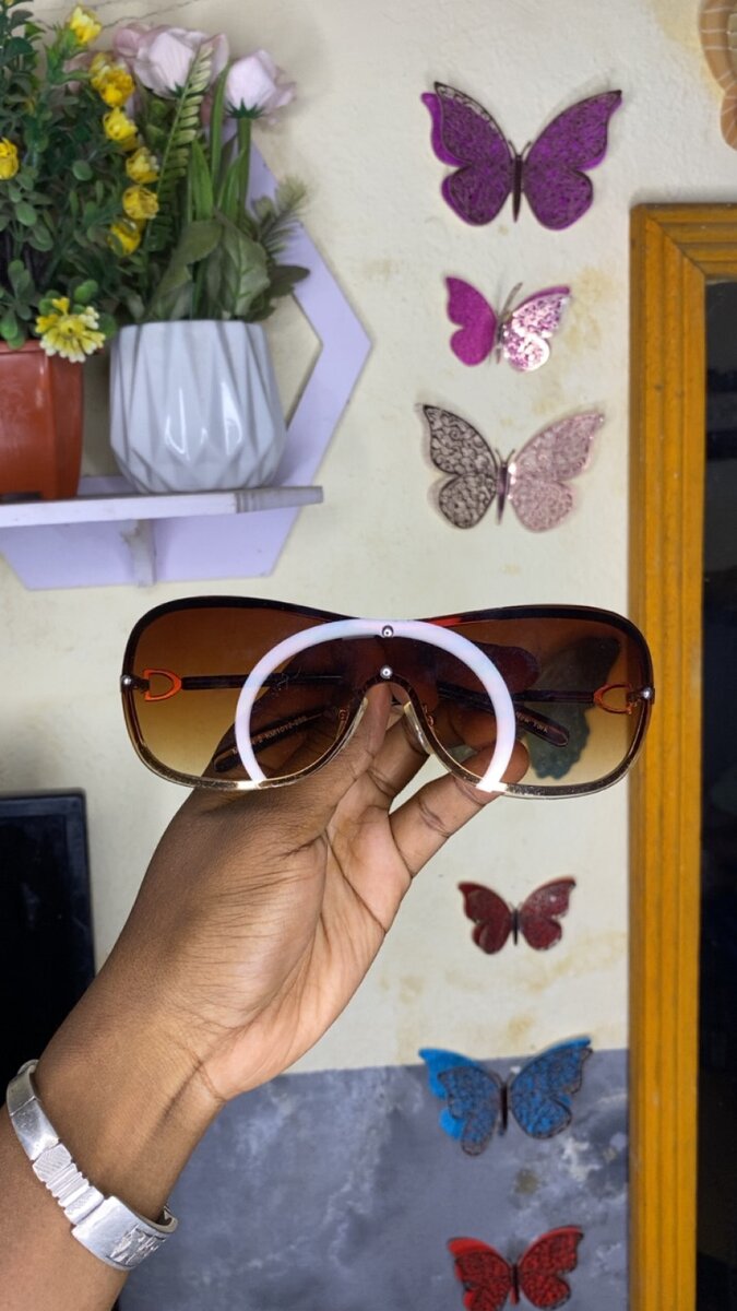 Lunettes de Soleil Élégantes
