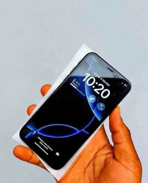 iPhone avec écran de 6,5 pouces