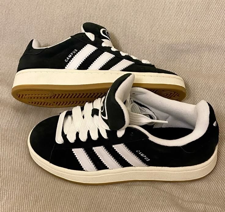 Adidas campus original