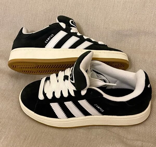 Adidas campus original