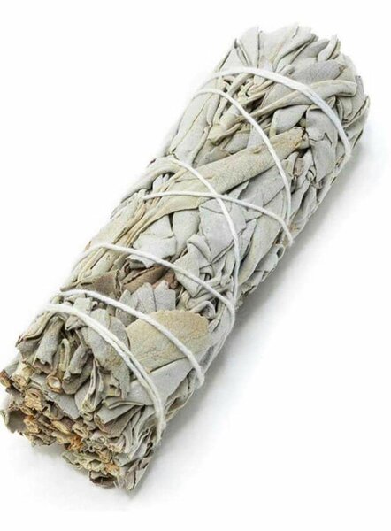 Sauge Blanche Purification Naturelle