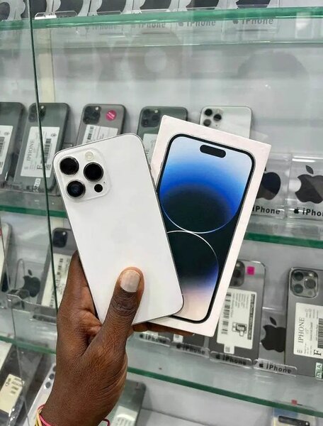 iPhone Pro Max Blanc 256Go