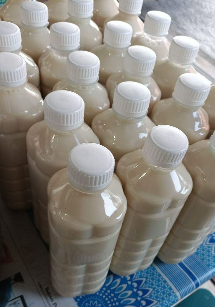 Yaourt et Dêguê Oya