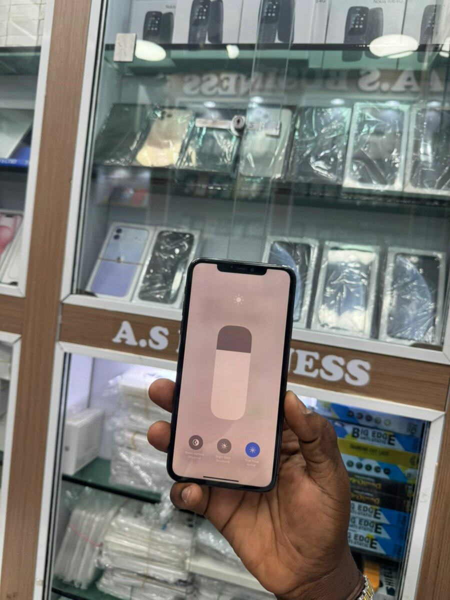 iPhone 11 Pro Max 256Go Gris