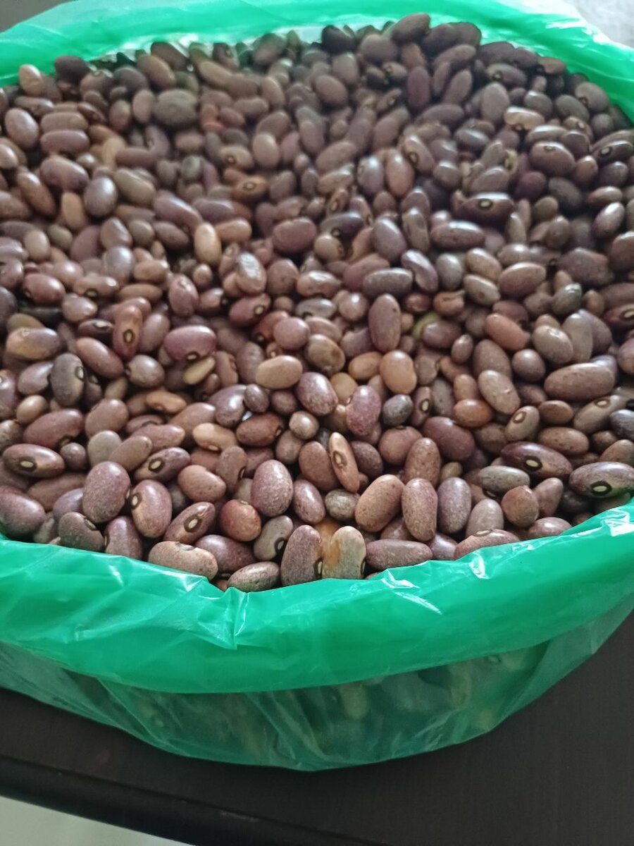 Kabulangeti Beans