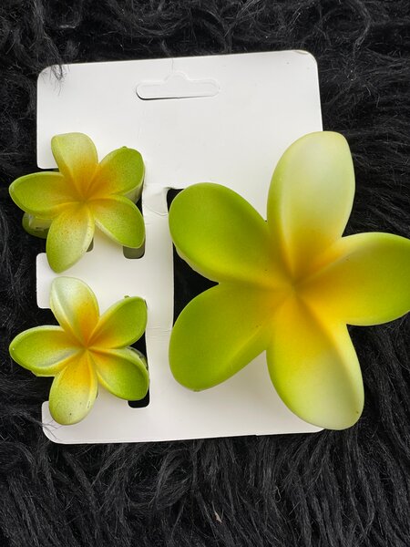 Set de pinces à cheveux fleurs colorées
