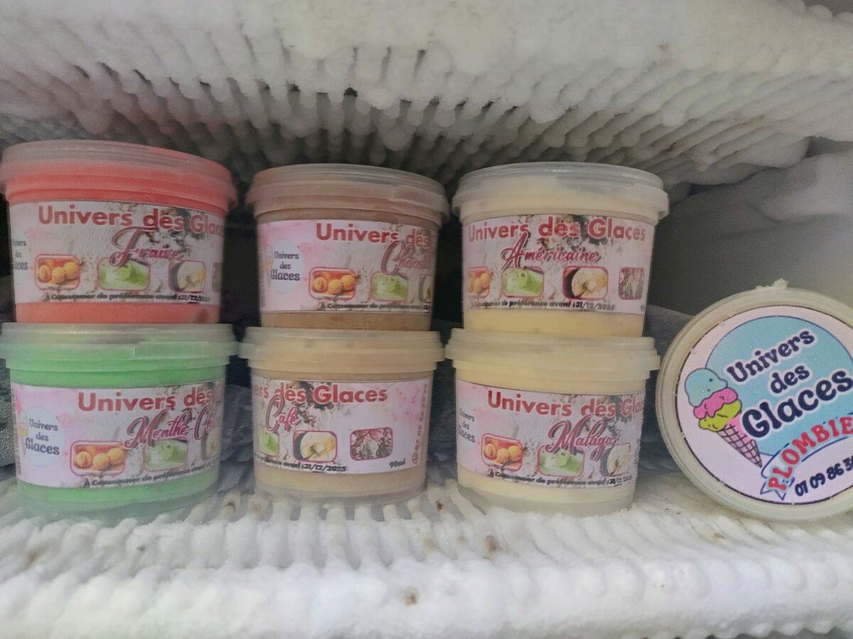 Délices Glacés Variés 90ml