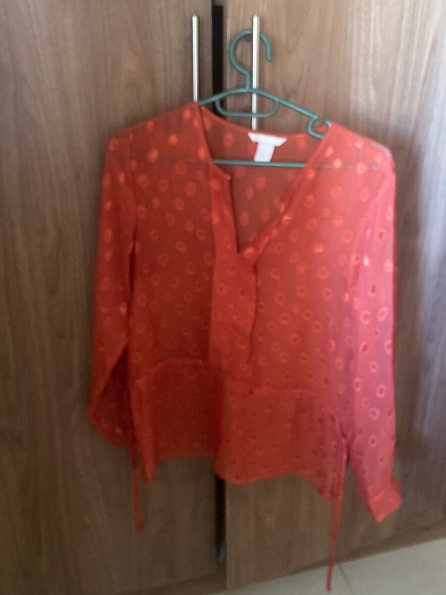 Blouse- Rusty orange