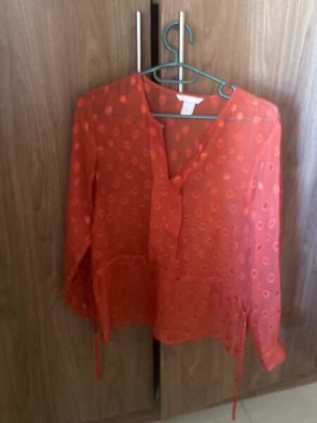 Blouse- Rusty orange