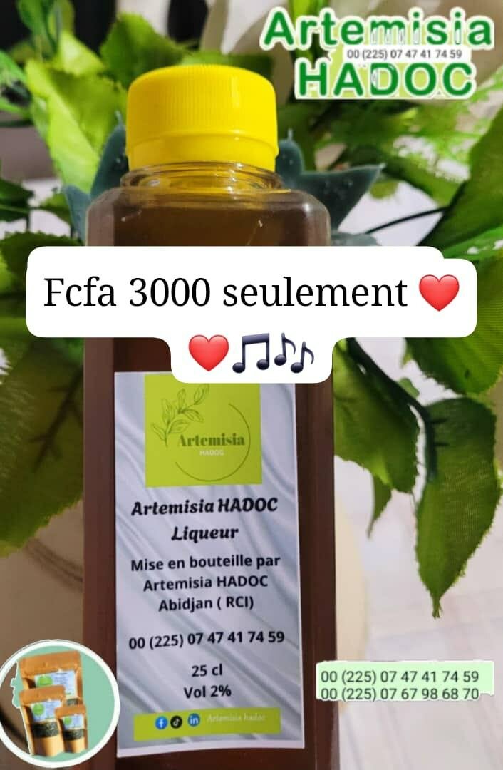 Artemisia HADOC Infusion Bio